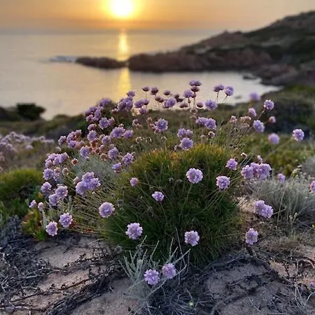 Penthouse Vista Mare Διαμέρισμα Trinità dʼAgultu